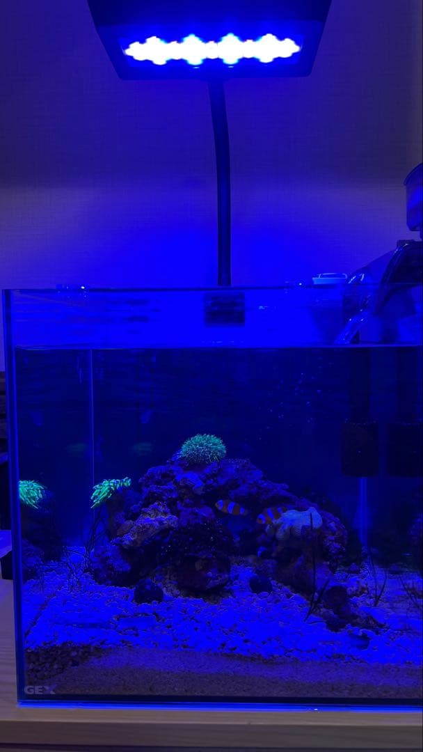 ZOOX Reef Nano 3 LEDライト
