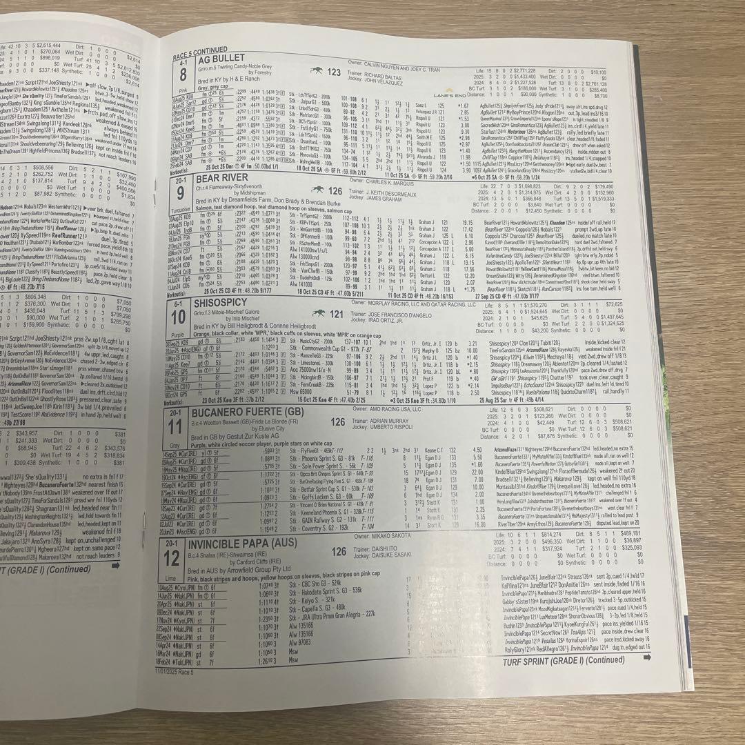 2025年　BCカップ 競馬公式プログラム　パンフレット