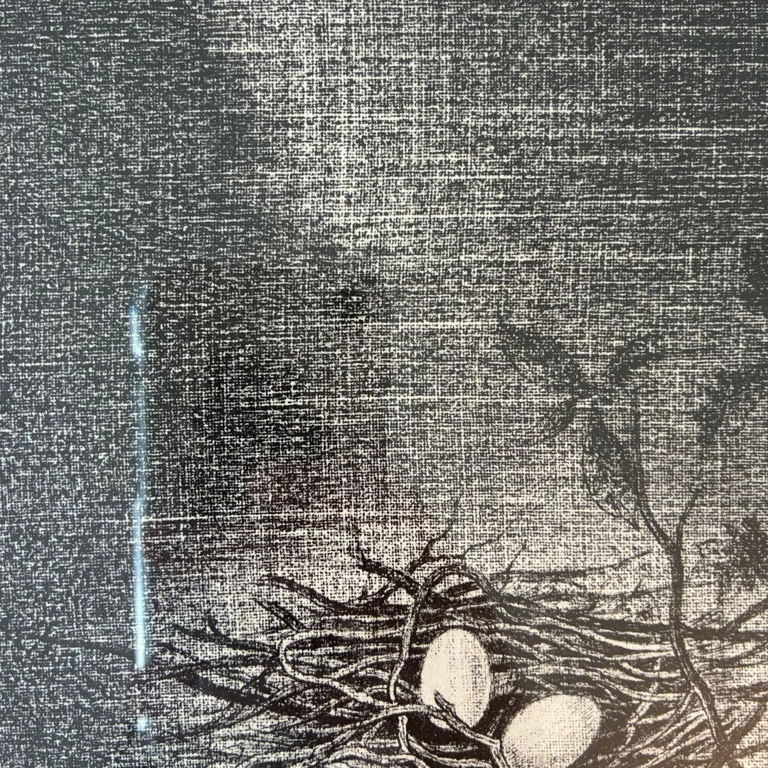 岡 鹿之助「巣」リトグラフ　本人鉛筆サイン入　額付　EA版　25.10.29−1