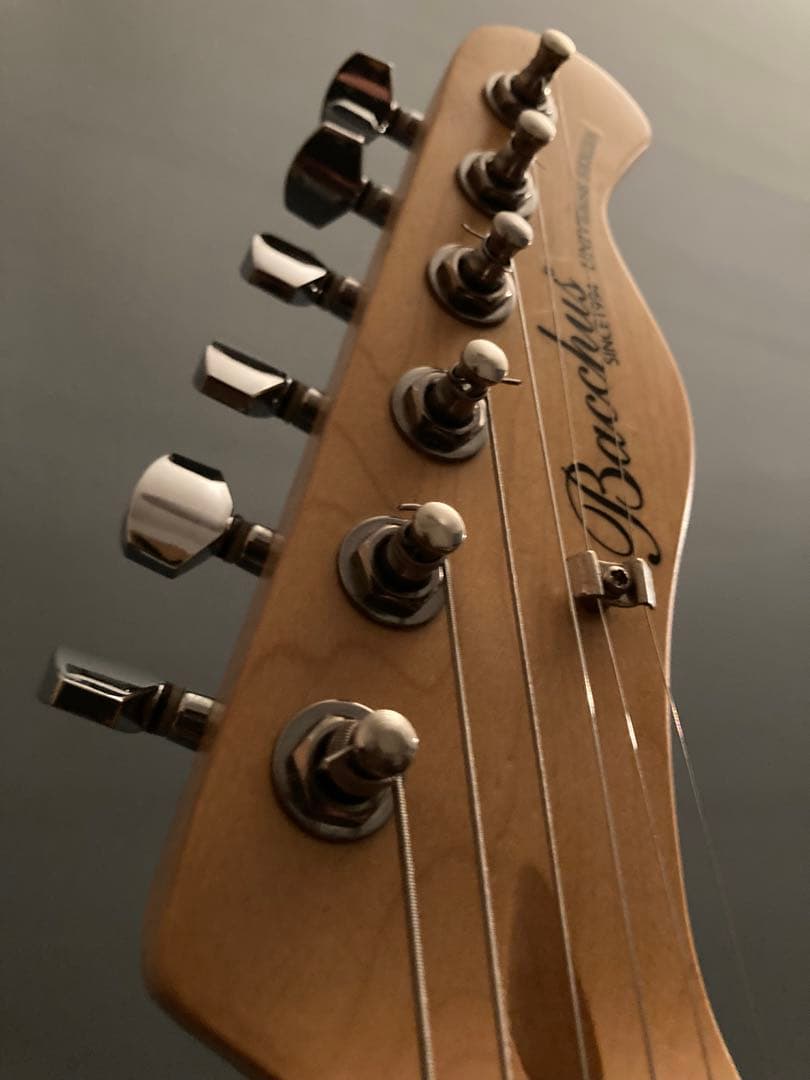 Bacchus バッカス　ユニバース　テレキャスター　クリーニング•調整済み