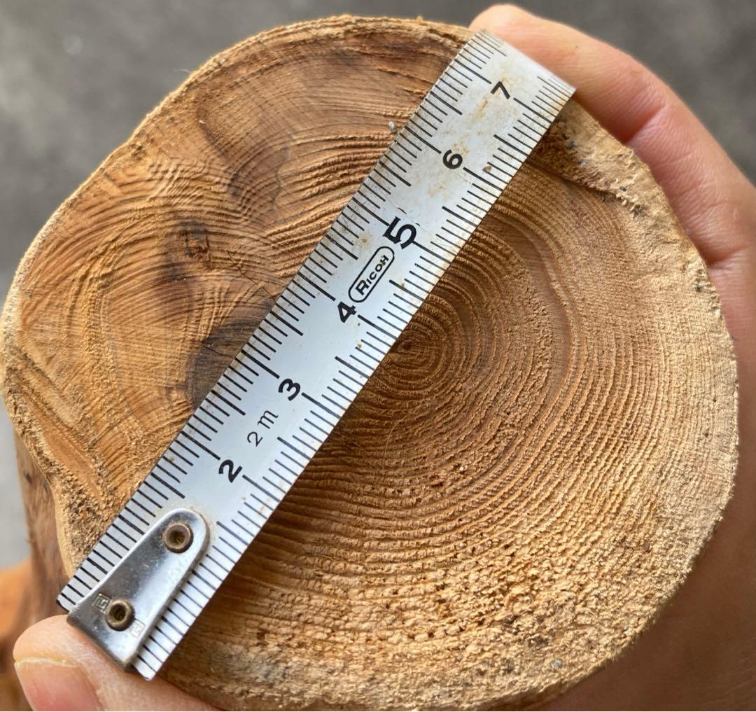 希少　樹齢150〜200年　杉枝　約126cm 鑑賞　庭　インテリア 骨董　華道