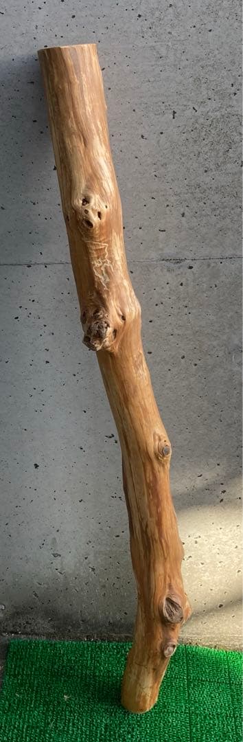 希少　樹齢150〜200年　杉枝　約126cm 鑑賞　庭　インテリア 骨董　華道