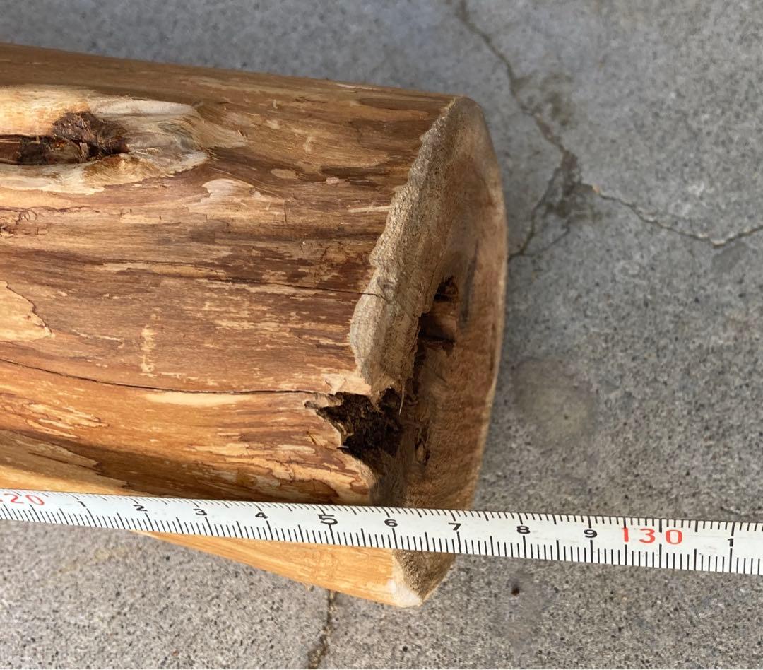 希少　樹齢150〜200年　杉枝　約126cm 鑑賞　庭　インテリア 骨董　華道