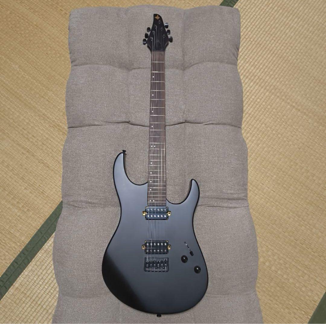 【値下げ交渉可】Donner DMT-100