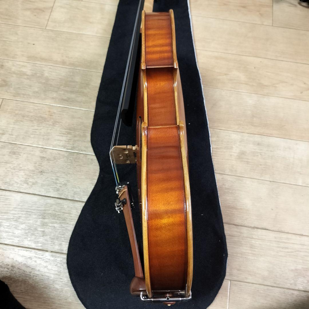 最終値下 ピグマリウス スタンダード 4/4 2020 イーストマンケース付