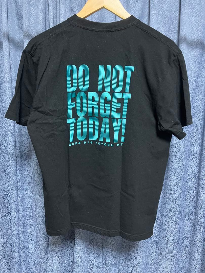 the pillows Tシャツ ブラック バンドTシャツ