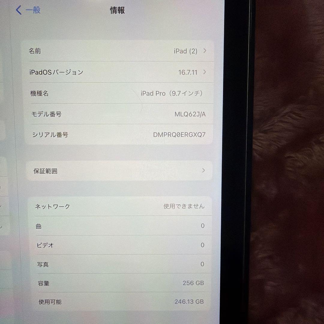 Apple iPad Pro 9.7インチ 256GB