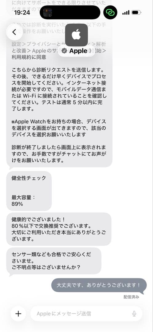 Apple iPad Pro 9.7インチ 256GB