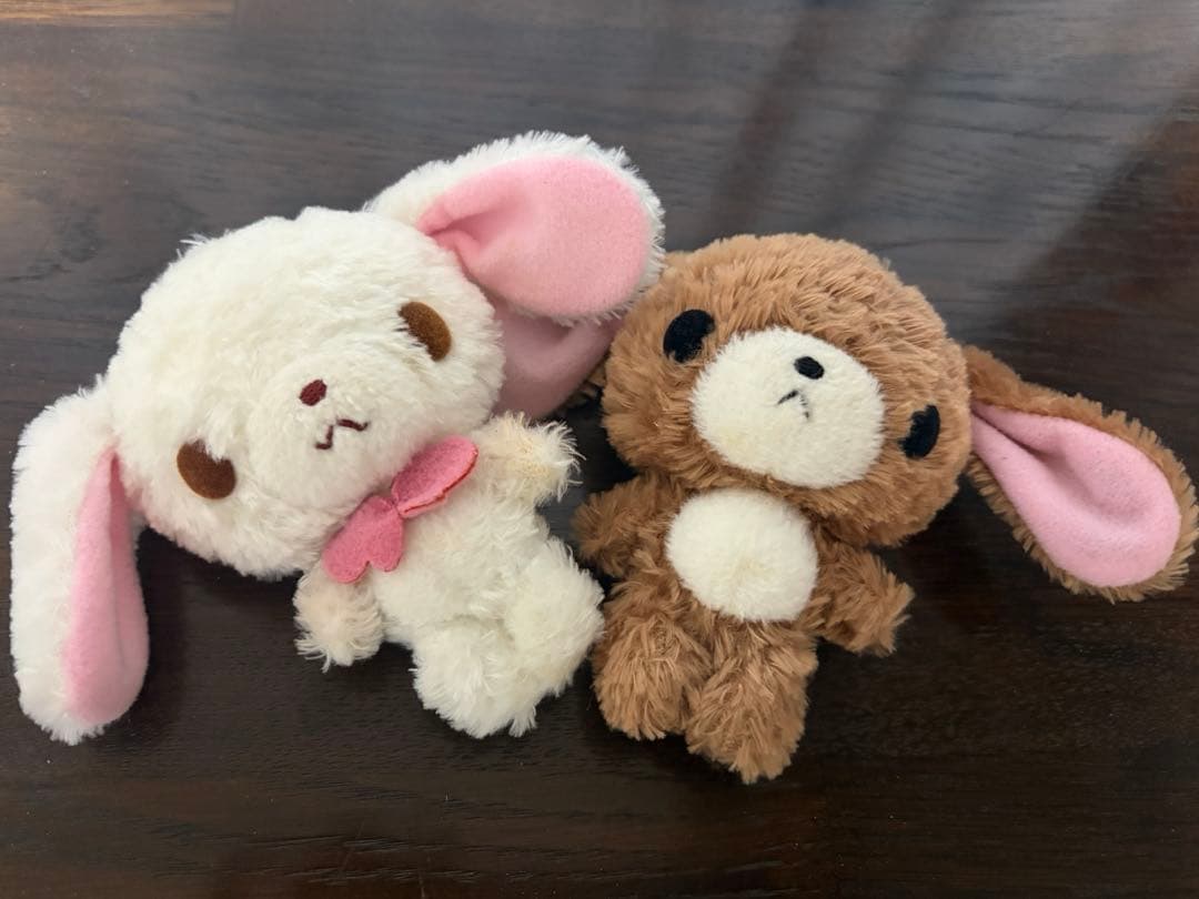 シュガーバニーズ 2004年