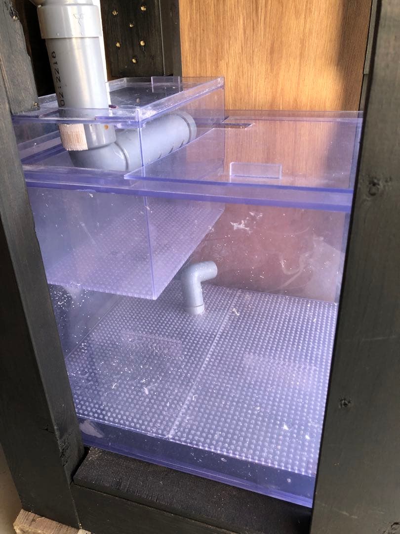 引き取り・配達限定　オーバーフロー水槽1式