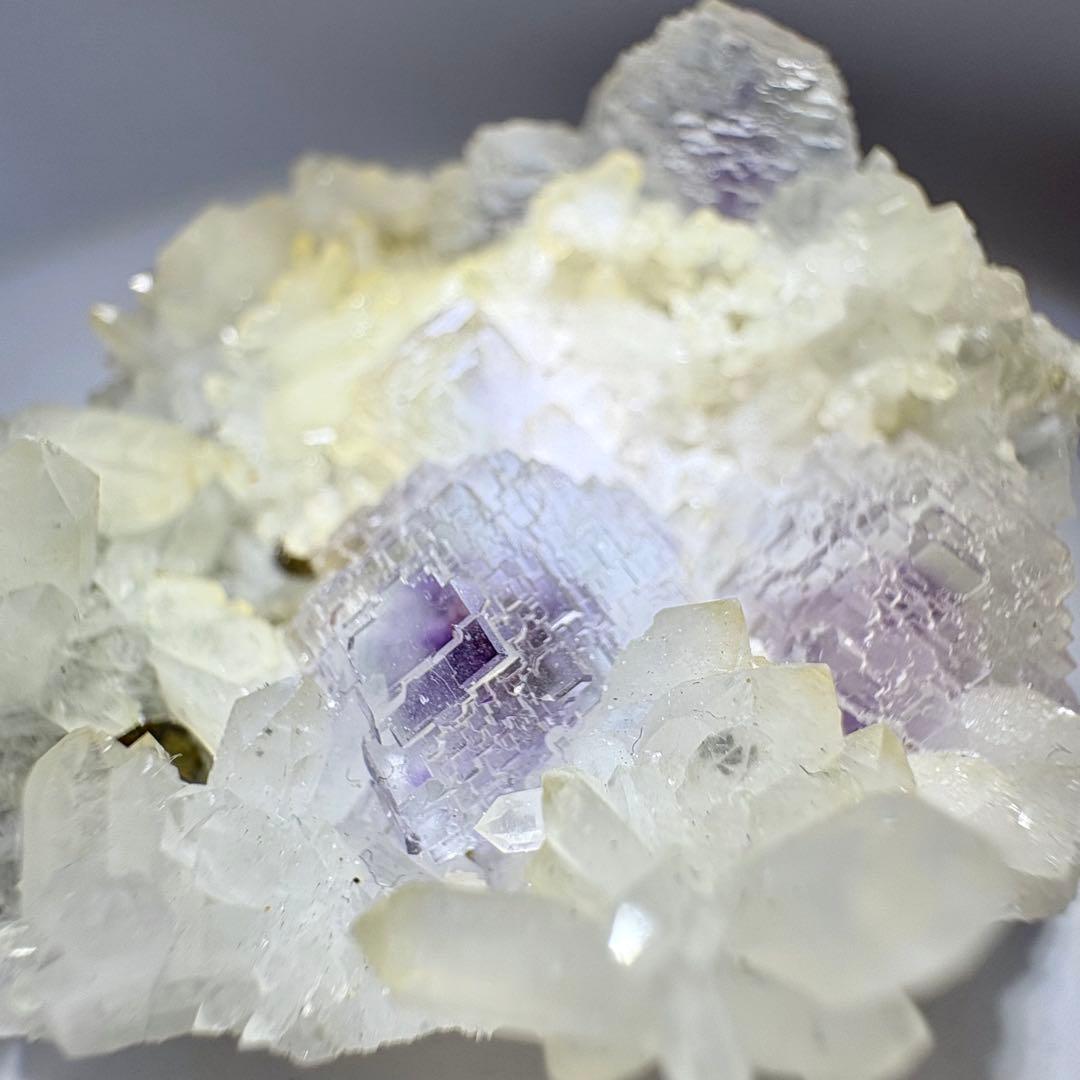 442 中国　シャンバオ鉱山産　フローライト