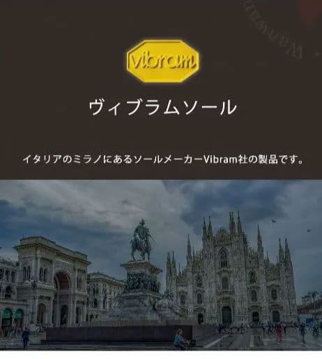 Trueloveプレミアム vibram sole DOG SHOES XXS