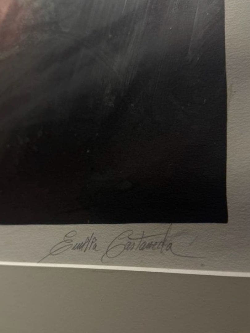 EmiliaCastanedaMartinez【REGARD DE PASSE】