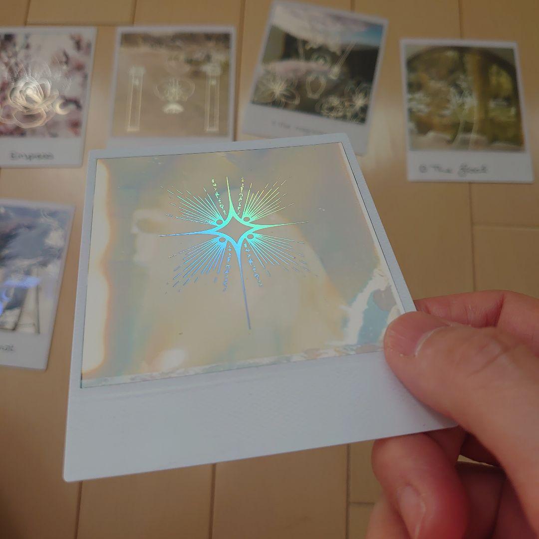 【希少　美品】TRUE NORTH TAROT　トゥルーノース　タロット