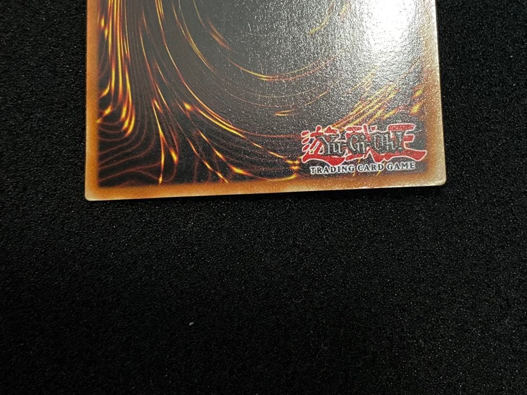 遊戯王　青眼の白龍　DDS シークレット　シクブル　英語版