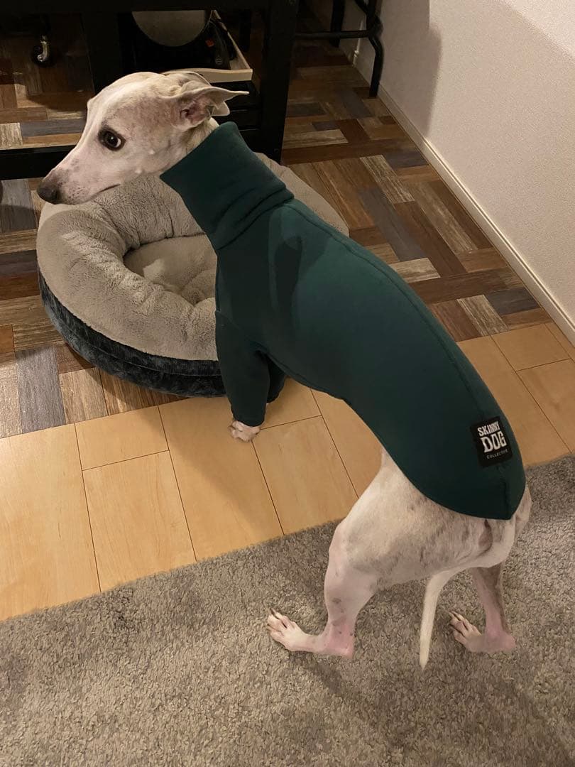 犬服 Mサイズ エメラルド フリース