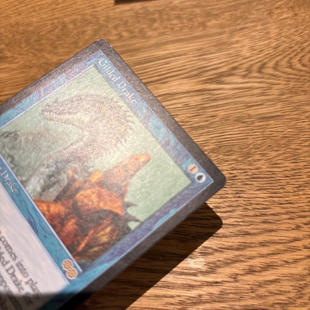 MTG 金粉のドレイク/Gilded Drake 英語版