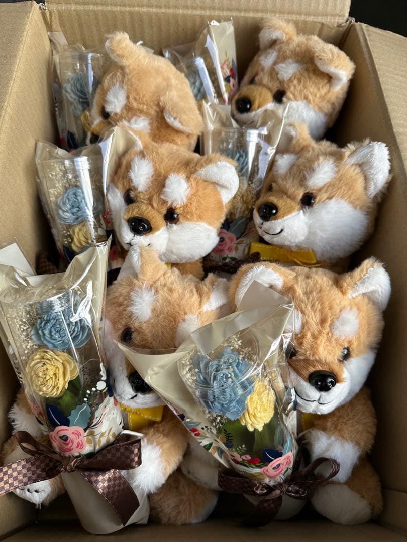 しばいぬ　柴犬　ぬいぐるみ　雑貨　新品　6個　プレゼント