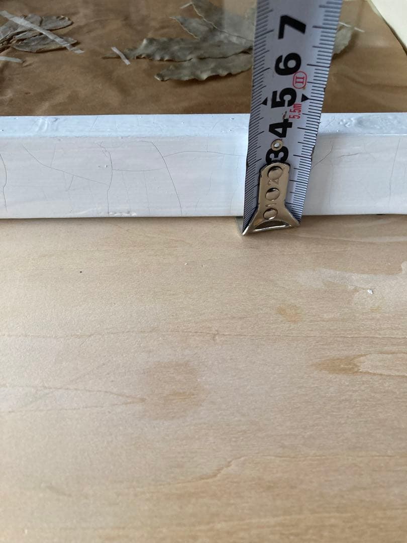 パリ　フランス製　アンティーク　押し花　ビンテージ　葉のボックスコラージュ