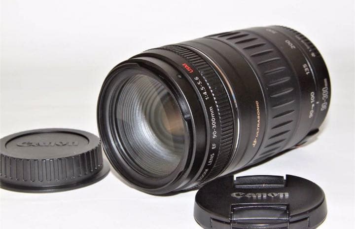 ❤️超望遠レンズ❤️極上品❤️キャノンCanon EF 90-300㎜