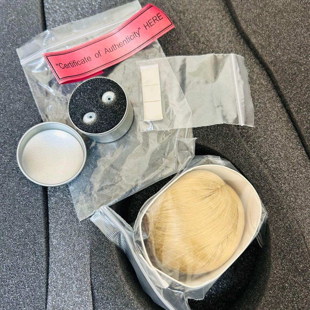 進撃の巨人　エルヴィン・スミス　キャストドール　DOLK フィギュア