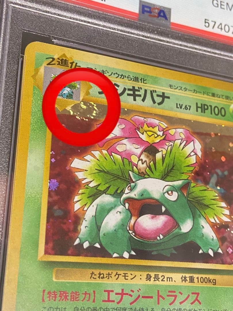 PSA10 フシギバナ 旧裏 とりかえっこプリーズ CDプロモ　渦巻きホロ