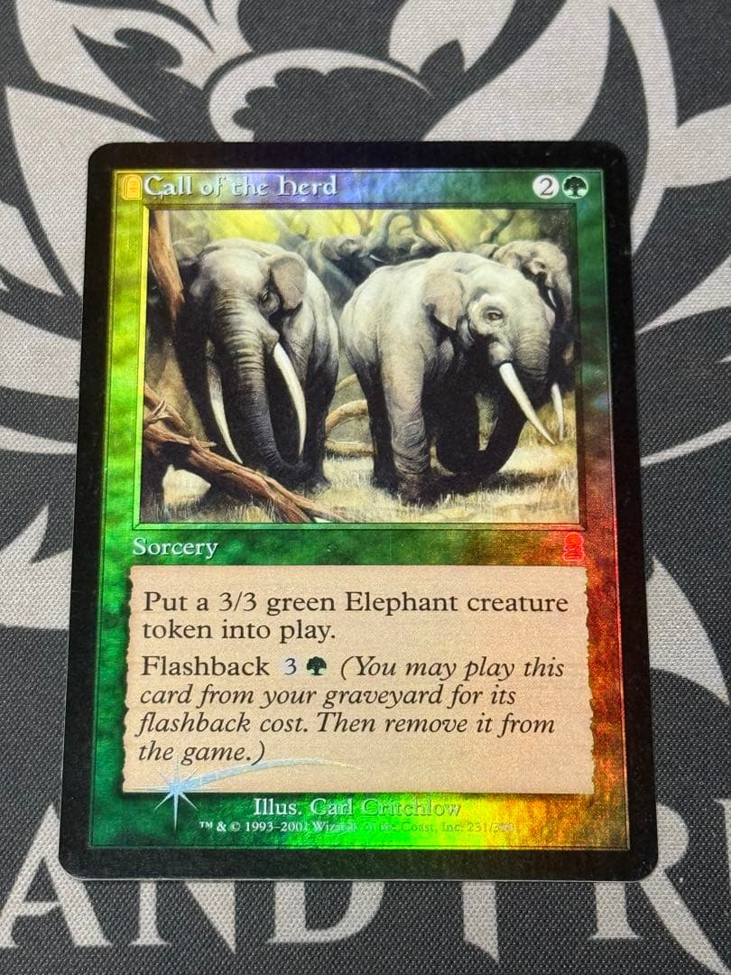 獣群の呼び声　英語　FOIL