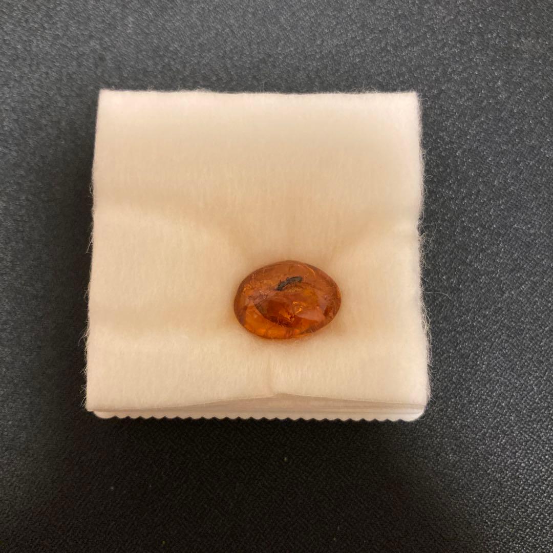 虫入り琥珀 ドミニカ産