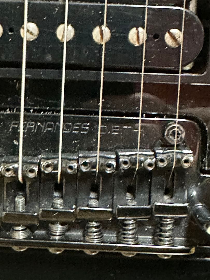 FERNANDES TE-120HT 布袋モデル　サスティナー9V