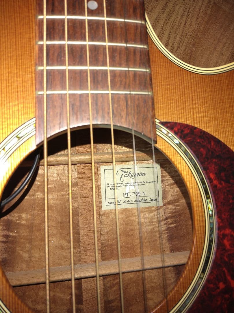 タカミネ PTU709N エレアコ アコースティックギター ハワイアンコア材