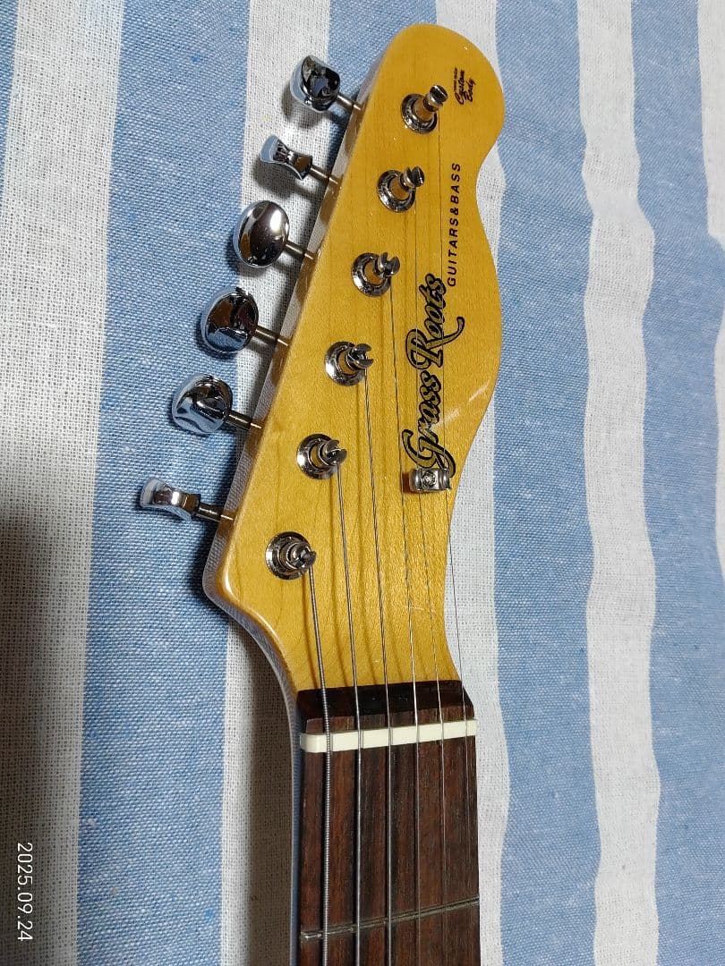 GrassRoots by ESPのテレキャスタイプG-TE-50R使用感少美品