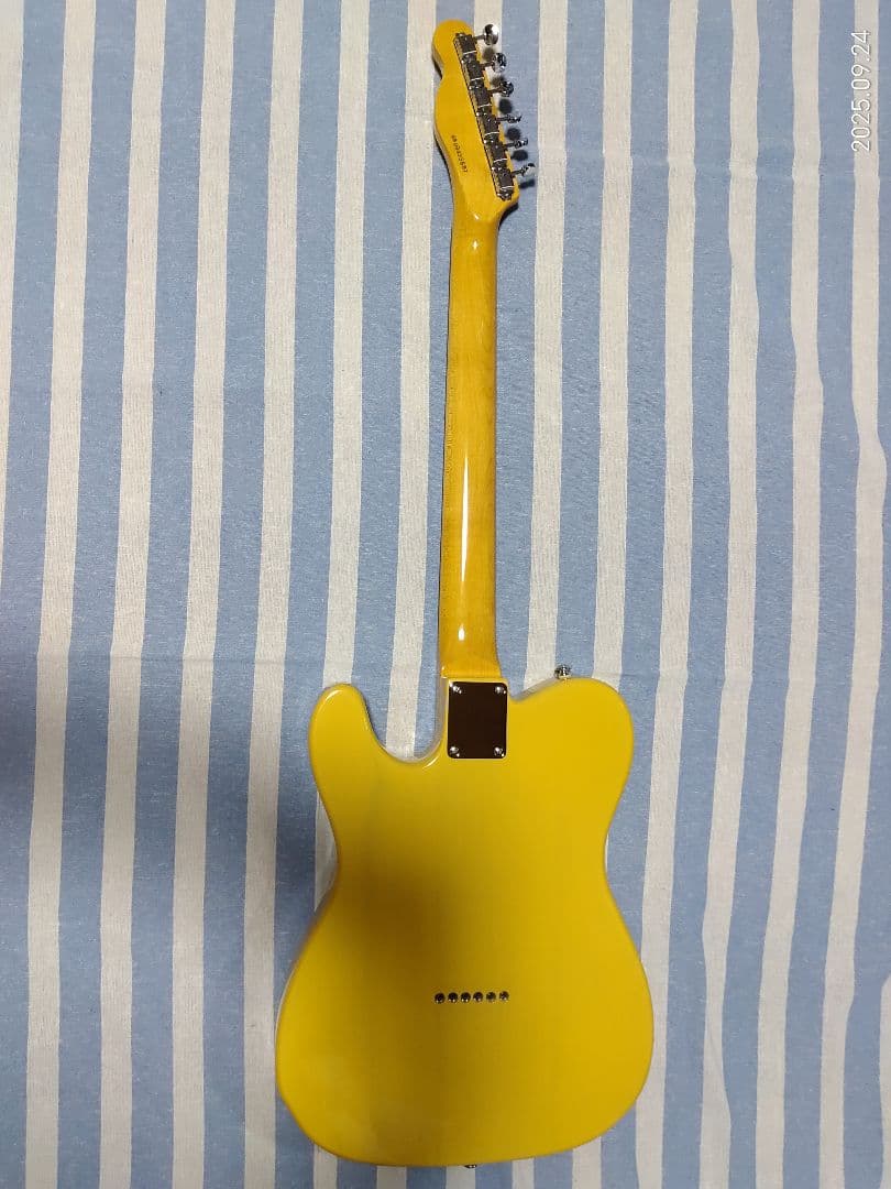 GrassRoots by ESPのテレキャスタイプG-TE-50R使用感少美品