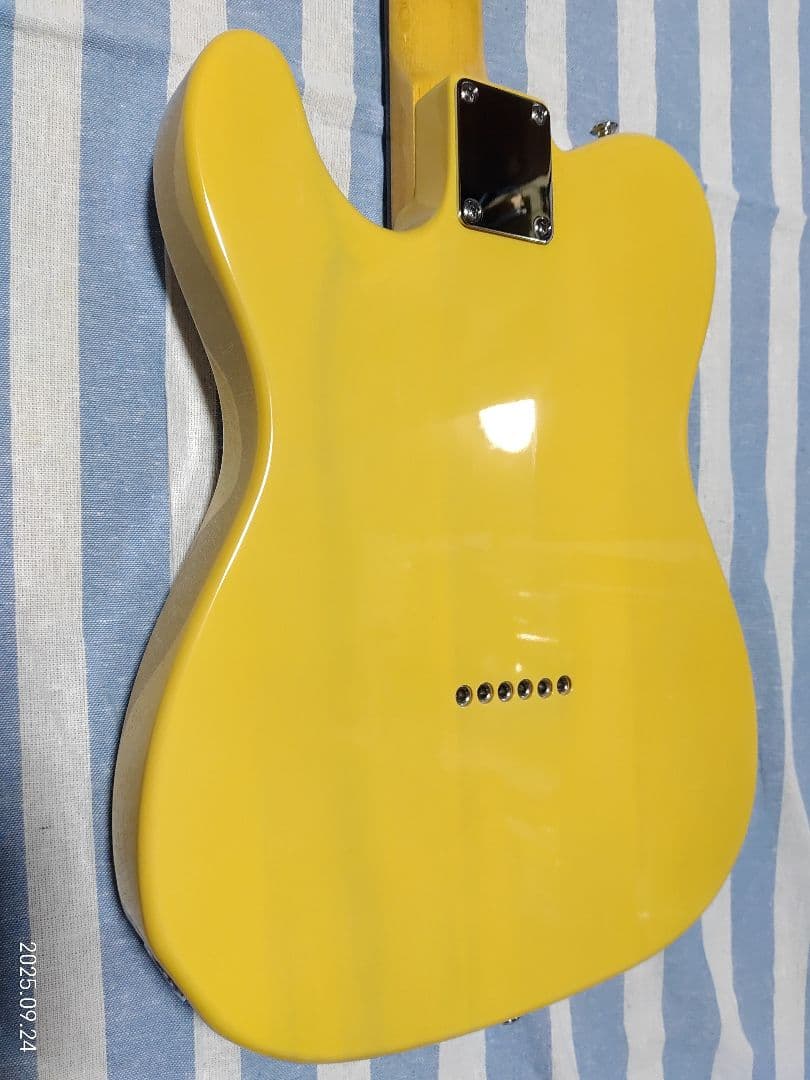 GrassRoots by ESPのテレキャスタイプG-TE-50R使用感少美品