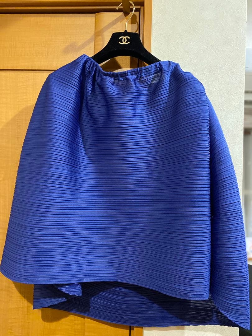 プリーツプリーズ　スカート