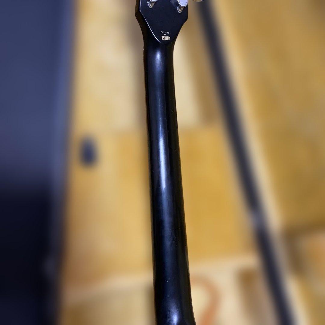 初期型　EDWARDS E-I-85LP ルナシー イノランモデル　INORAN