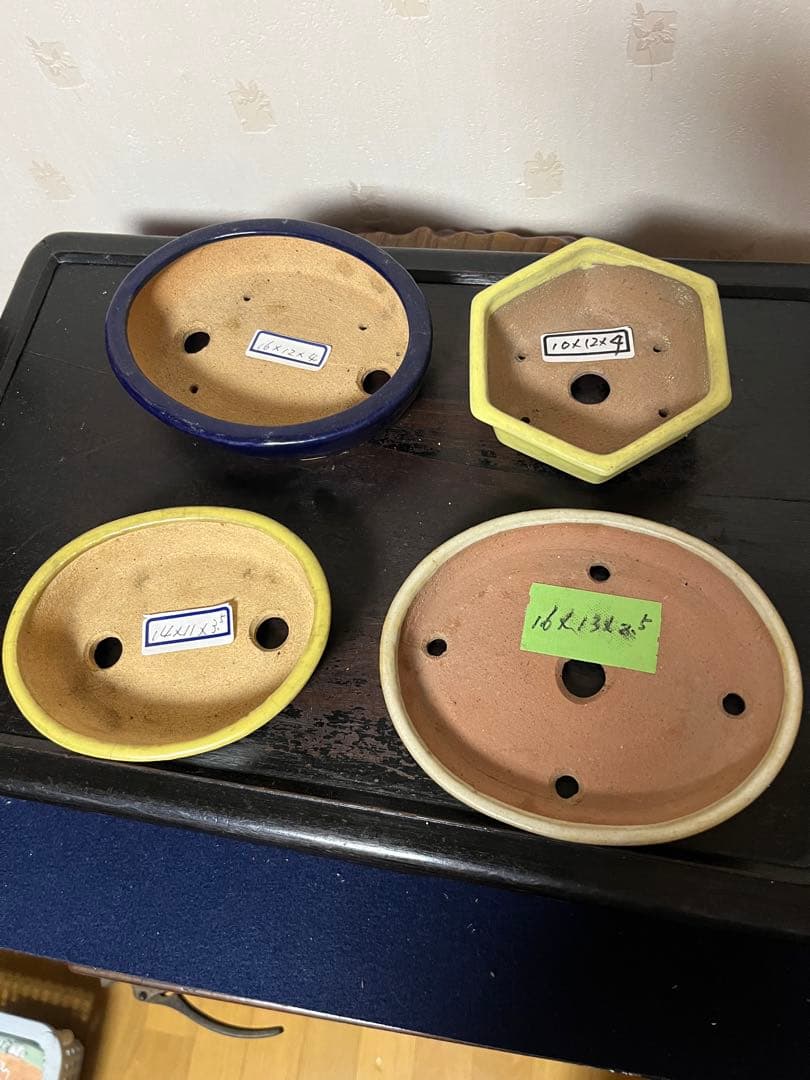 487 盆栽　盆栽鉢　植木鉢　和鉢　服部　山房　他