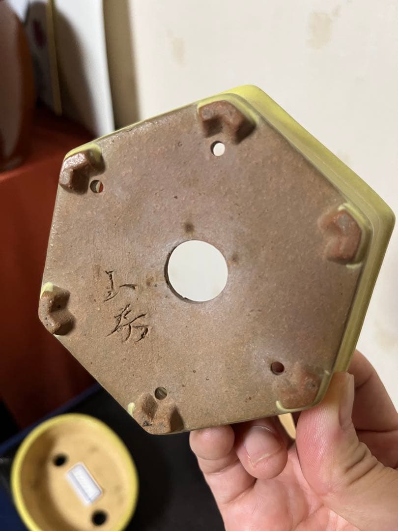 487 盆栽　盆栽鉢　植木鉢　和鉢　服部　山房　他