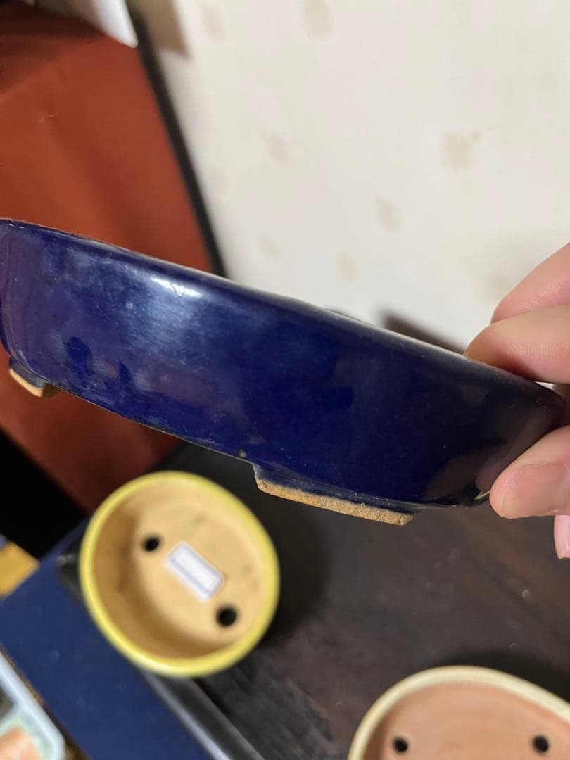 487 盆栽　盆栽鉢　植木鉢　和鉢　服部　山房　他