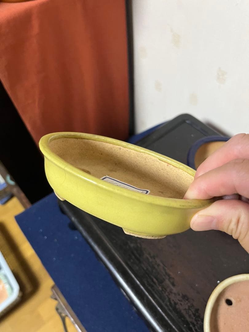 487 盆栽　盆栽鉢　植木鉢　和鉢　服部　山房　他