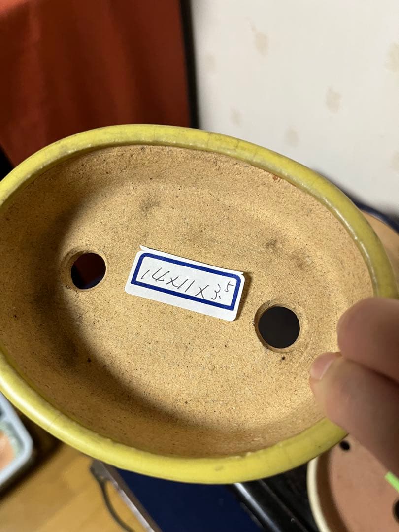 487 盆栽　盆栽鉢　植木鉢　和鉢　服部　山房　他