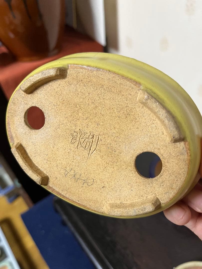 487 盆栽　盆栽鉢　植木鉢　和鉢　服部　山房　他