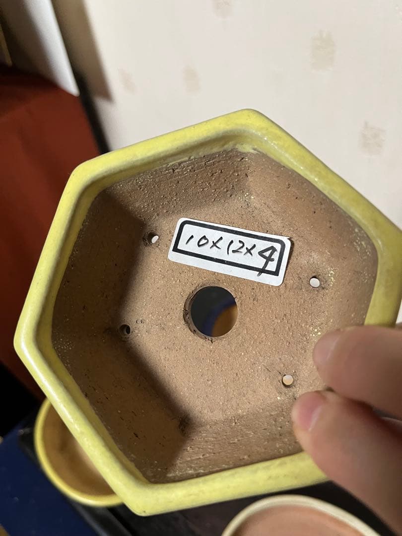 487 盆栽　盆栽鉢　植木鉢　和鉢　服部　山房　他