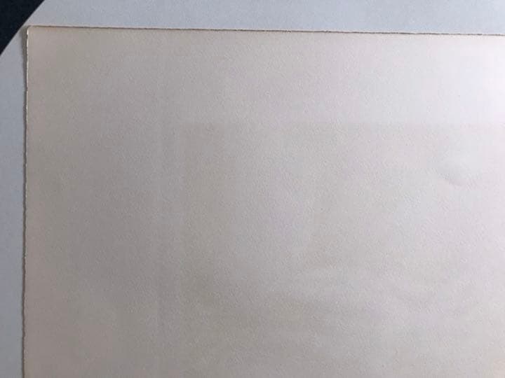 ★J5★古沢岩美「樹精」リトグラフ　限定品　直筆サイン有り