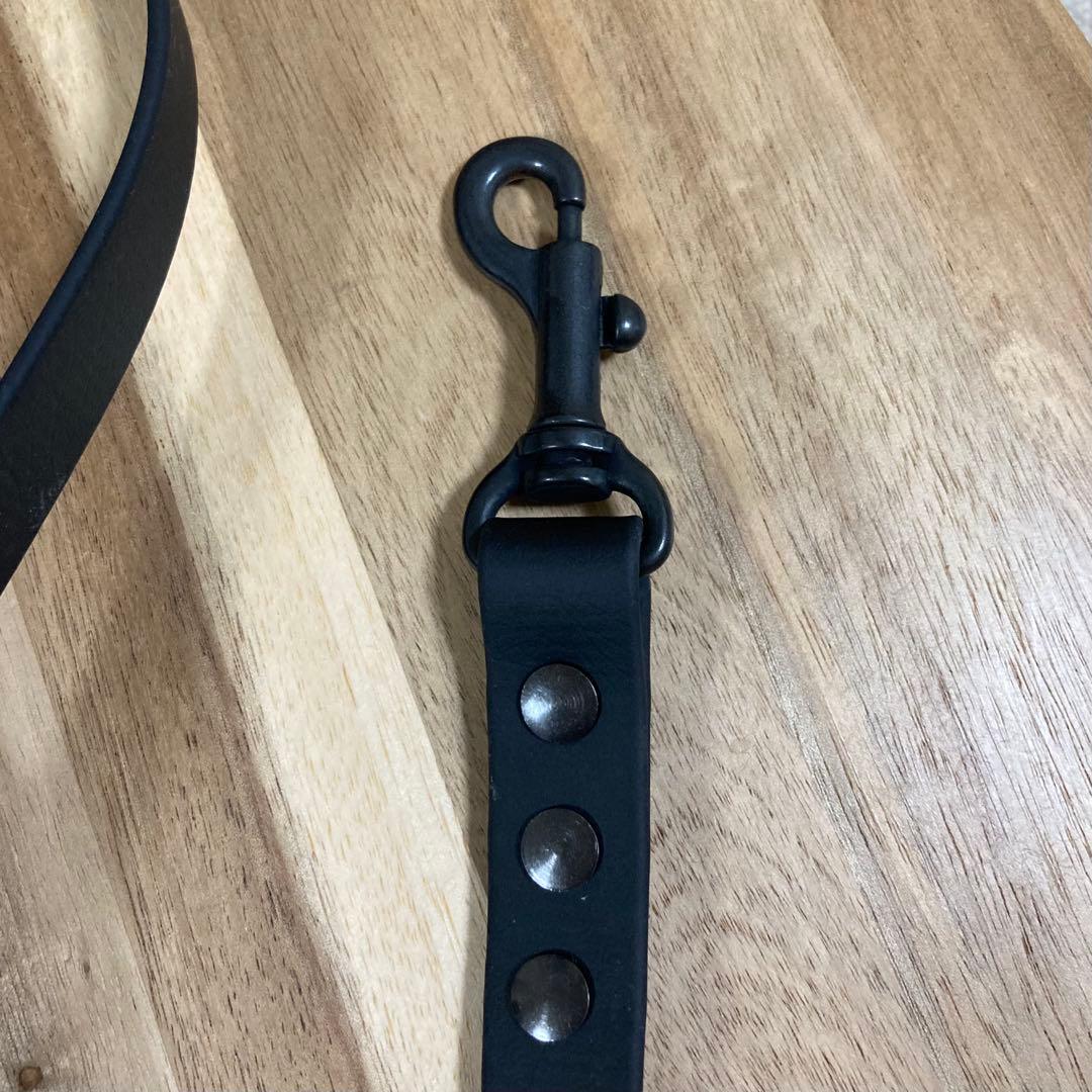 防水　カフェリード首輪　セット