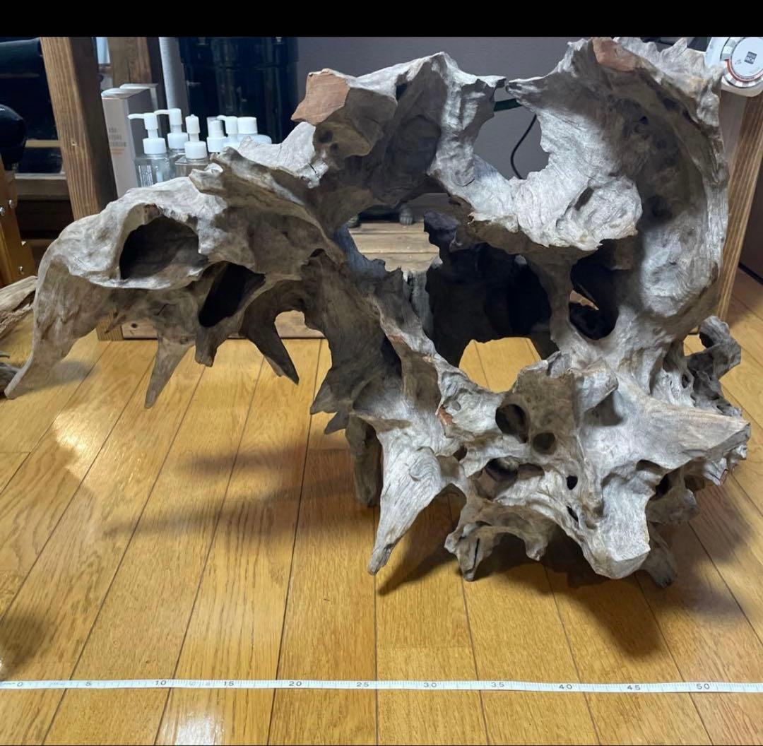 超美形大型流木L〜LLサイズ＋おまけ流木付き