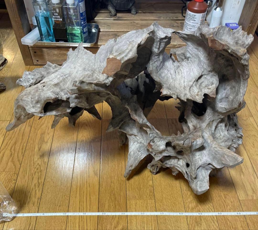 超美形大型流木L〜LLサイズ＋おまけ流木付き
