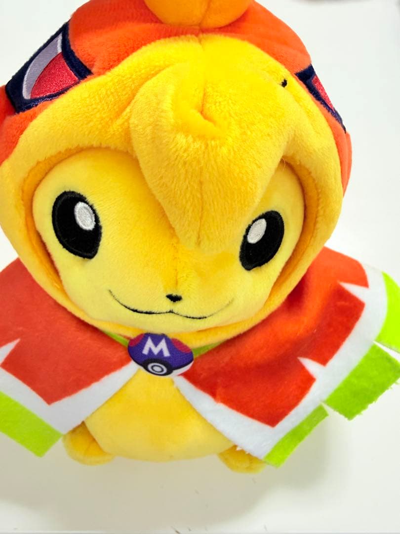 ルギア/ホウオウポンチョ姿のピカチュウ