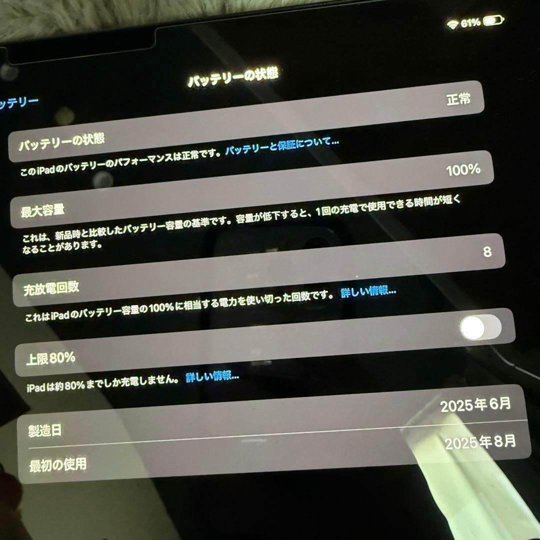 iPad Pro11インチ第7世代 &Apple Pencil Pro付き