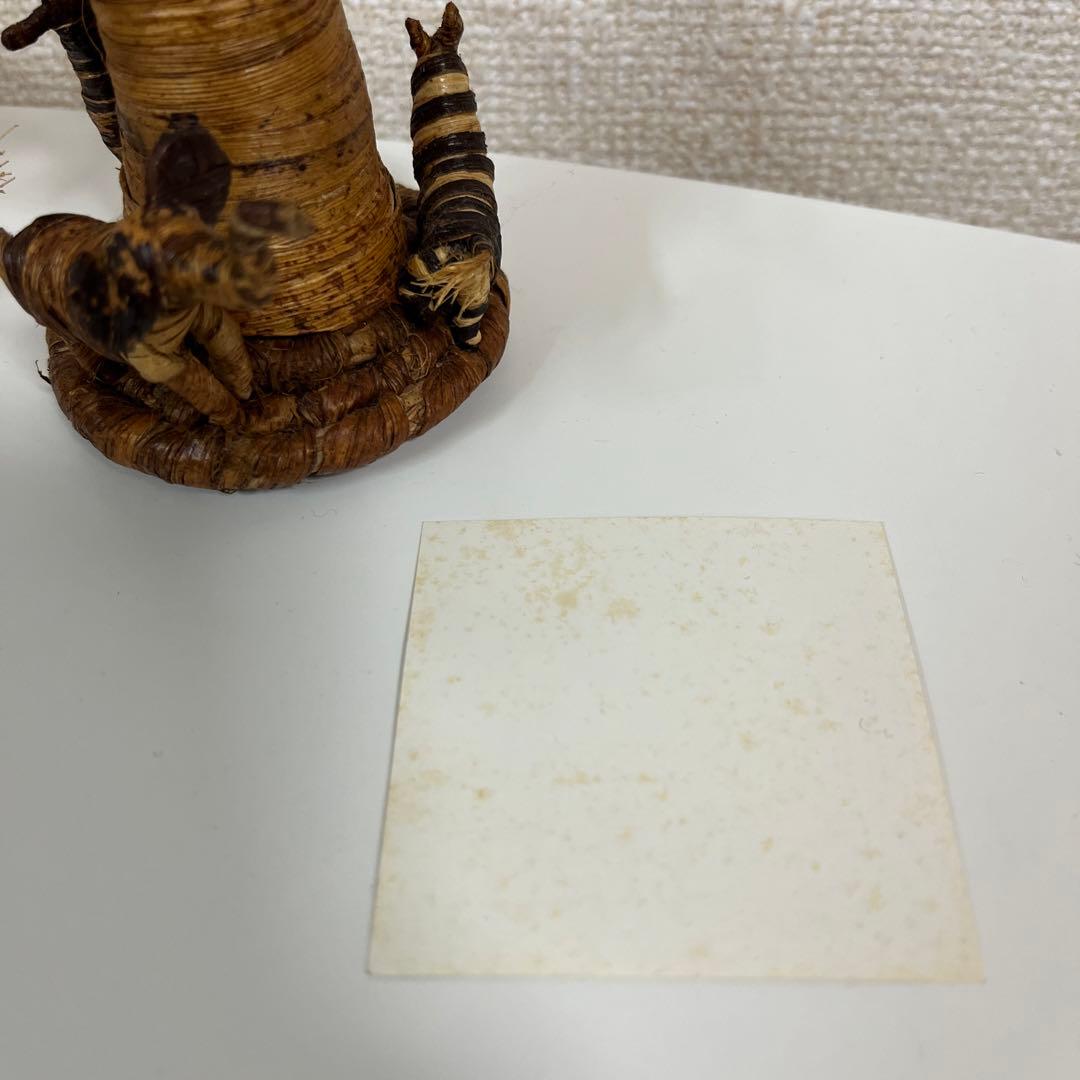 MISIA 星空のライヴIV CLASSICS バオバブの木