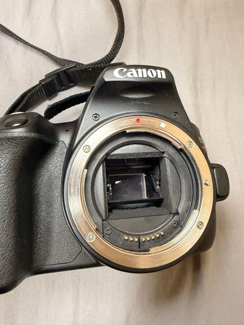 Canon EOS Kiss x10 一眼レフ SIGMA望遠レンズセット